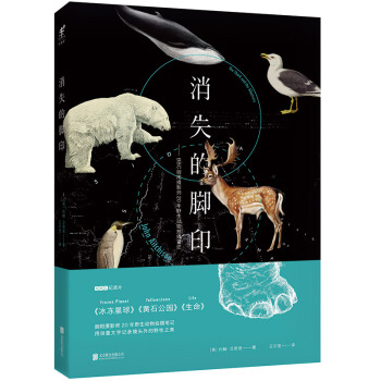消失的脚印：BBC御用摄影师20年野生动物拍摄笔记 [The Shark and the Albatross] pdf epub mobi 下载