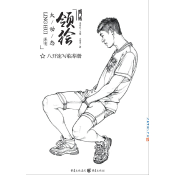 领绘—大动态 pdf epub mobi 下载