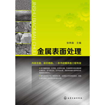 金属表面处理 pdf epub mobi 下载