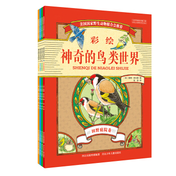 神奇的鸟类世界（套装共4册） [7-12岁] pdf epub mobi 电子书 下载