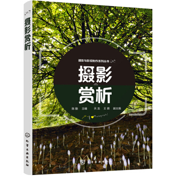 摄影赏析(陈勤) pdf epub mobi 下载