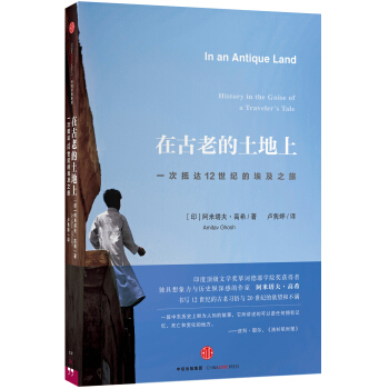 在古老的土地上：一次抵达12世纪的埃及之旅 [In an Antique Land] pdf epub mobi 下载