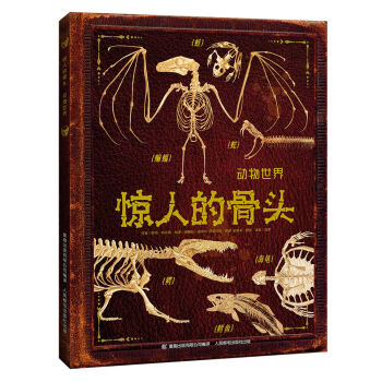 驚人的骨頭 動物世界 [6-14歲] pdf epub mobi 下载