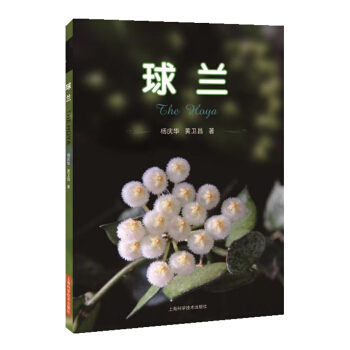 球蘭
