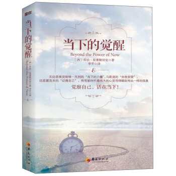 当下的觉醒 [Beyond The Power Of Now] pdf epub mobi 下载