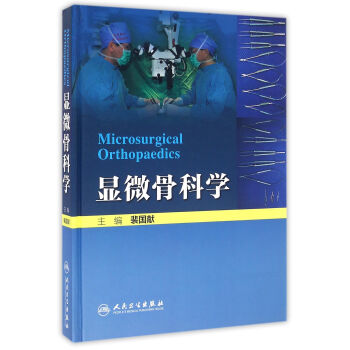 显微骨科学 pdf epub mobi 下载