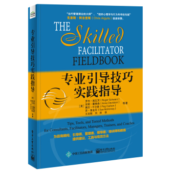 专业引导技巧实践指导 pdf epub mobi 下载