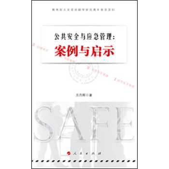 公共安全与应急管理：案例与启示 pdf epub mobi 下载