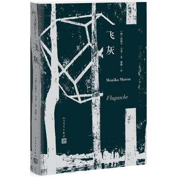 飛灰 pdf epub mobi 下载