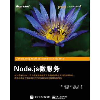 Node.js微服务 pdf epub mobi 下载