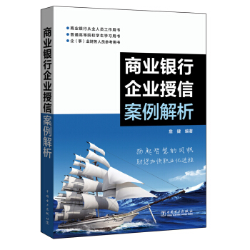 商业银行企业授信案例解析 pdf epub mobi 下载