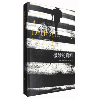 微妙的真相 [A Delicate Truth] pdf epub mobi 电子书 下载