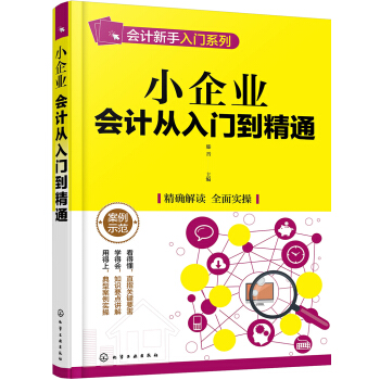 小企业会计从入门到精通 pdf epub mobi 下载