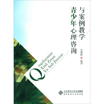 青少年心理咨询与案例教学 pdf epub mobi 下载