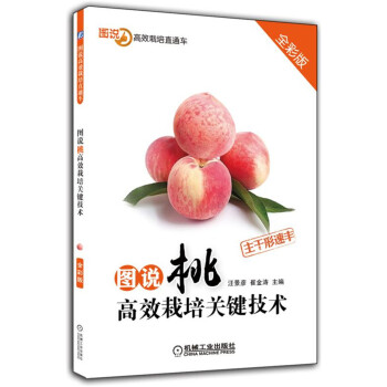 圖說桃高效栽培關鍵技術 pdf epub mobi 下载