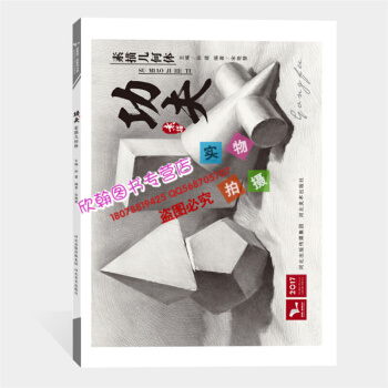 2017功夫素描幾何體 我有我一套係宋艷慧石膏靜物鉛筆素描技法結構藝術繪畫臨摹本經典 pdf epub mobi 下载