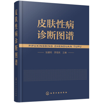 皮肤性病诊断图谱 pdf epub mobi 下载