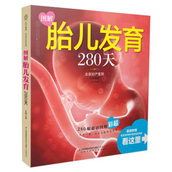 图解胎儿发育280天 汉竹 280幅超清四维彩超 胎儿每天发育情况)孕妇书籍 怀孕书 孕产