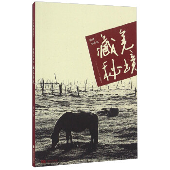 騎遇川西北藏羌秘境 pdf epub mobi 下载