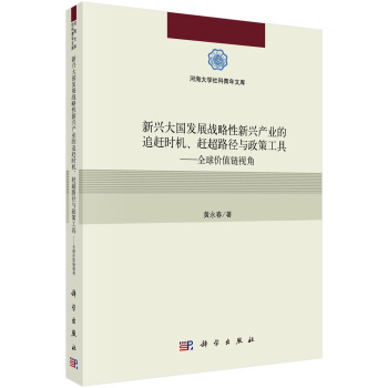 新兴大国发展战略性新兴产业的追赶时机、赶超路径与政策工具-全球价值链视角 pdf epub mobi 下载