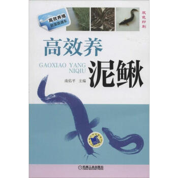 高效養泥鰍(17)