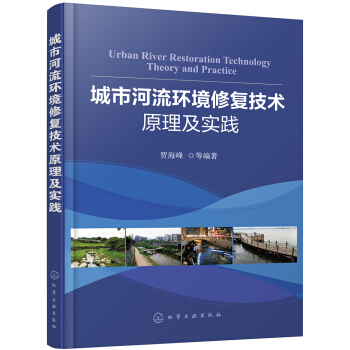 城市河流環境修復技術原理及實踐 pdf epub mobi 下载