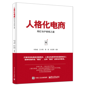 人格化电商：网红与IP修炼之道 pdf epub mobi 下载