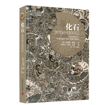 化石 洪荒时代的印记 pdf epub mobi 下载