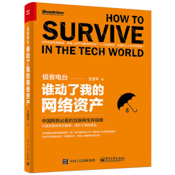 极客电台：谁动了我的网络资产 pdf epub mobi 电子书 下载