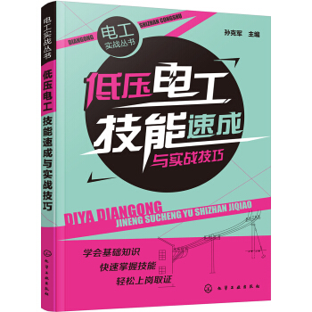 电工实战丛书--低压电工技能速成与实战技巧 pdf epub mobi 下载