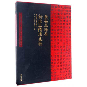 长安高阳原新出土隋唐墓志 pdf epub mobi 电子书 下载