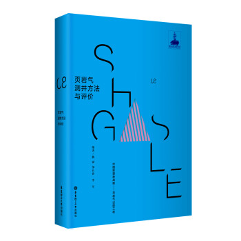 页岩气测井方法与评价 pdf epub mobi 下载