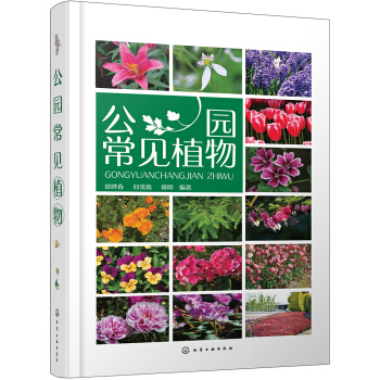 公园常见植物 pdf epub mobi 下载