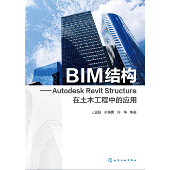 BIM结构:Autodesk Revit Structure在土木工程中的应用