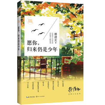 林清玄启悟人生系列：愿你，归来仍是少年 pdf epub mobi 电子书 下载