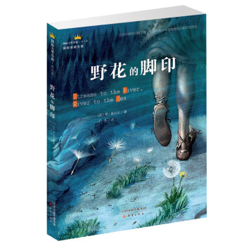 国际大奖小说·成长版——野花的脚印 [11-14岁] pdf epub mobi 下载