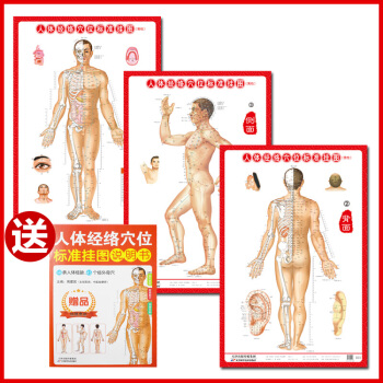 人体经络穴位挂图男性共3张 中医人体经络挂图 家庭保健养生医学 人体医学挂图 pdf epub mobi 下载