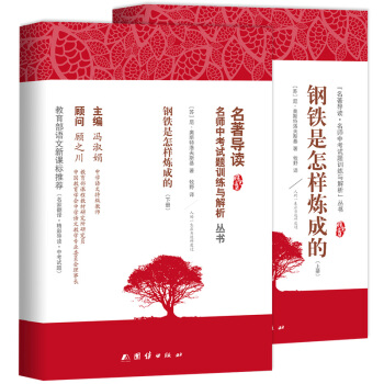 钢铁是怎样炼成的原著正版 无删减全译本青少年课外读物初中生语文新课标必读