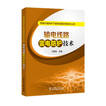 特殊环境条件下输电线路实用技术丛书 输电线路雷电防护技术 pdf epub mobi 下载