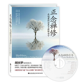 含禅修引导CD 正念禅修:在喧嚣的世界中获取安宁佛教书籍 胡因梦倾情推荐 畅销书 正版现货 pdf epub mobi 下载