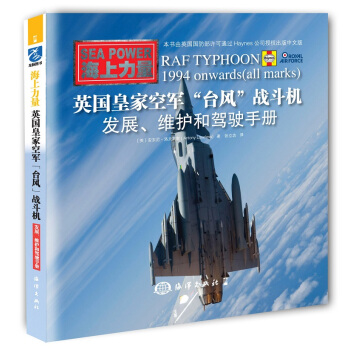 英国皇家空军“台风”战斗机：拥有、维护和驾驶手册 [RAF Typhoon：Owners’ Workshop Manual] pdf epub mobi 电子书 下载