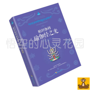 帕坦伽利瑜伽经之光 现代瑜伽之父《瑜伽之光》作者艾扬格2016年扛鼎之作 正版畅销书籍