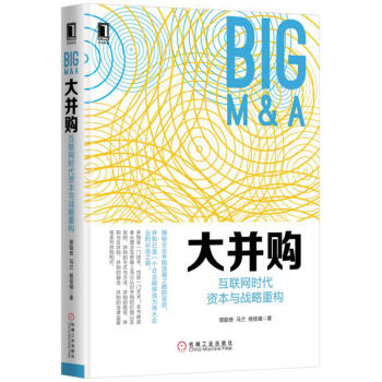 大并购：互联网时代资本与战略重构 pdf epub mobi 下载
