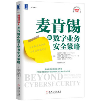 麦肯锡的数字业务安全策略 pdf epub mobi 下载