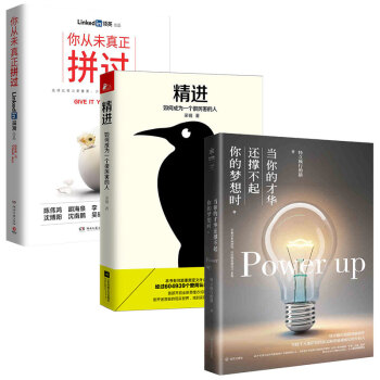 你从未真正拼过+当你的才华还撑不起你的梦想时+精进 套装共3册 pdf epub mobi 电子书 下载