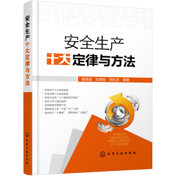 安全生産十大定律與方法 pdf epub mobi 電子書 下載