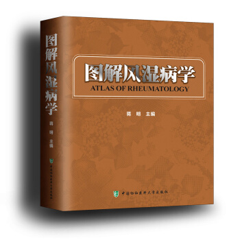 图解风湿病学 pdf epub mobi 下载