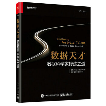 数据天才：数据科学家修炼之道 pdf epub mobi 下载