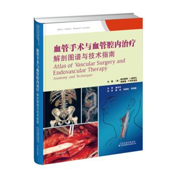 血管手術與血管腔內治療：解剖圖譜與技術指南 pdf epub mobi 下载
