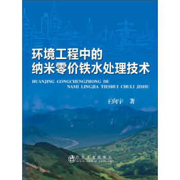 环境工程中的纳米零价铁水处理技术